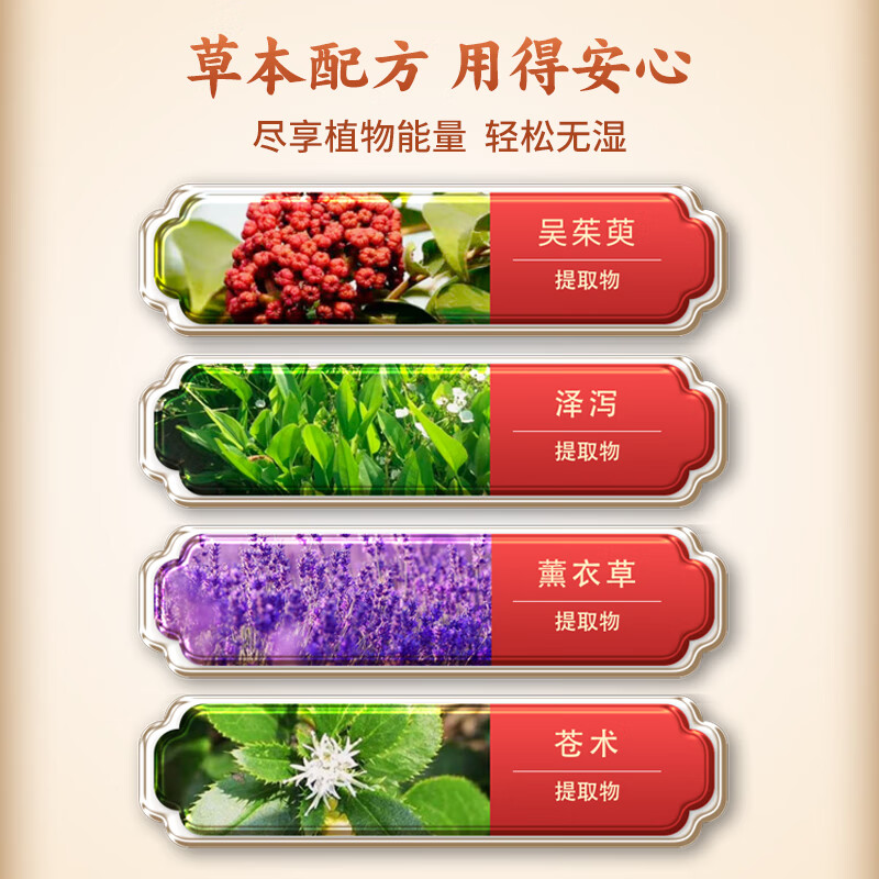 炳济堂吴茱萸草本足贴脚底贴养生睡眠膏贴脾胃虚弱湿气重 一盒10袋（共20贴）