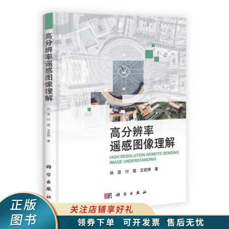 高分辨率遥感图像理解【稀缺图书,放心购买】