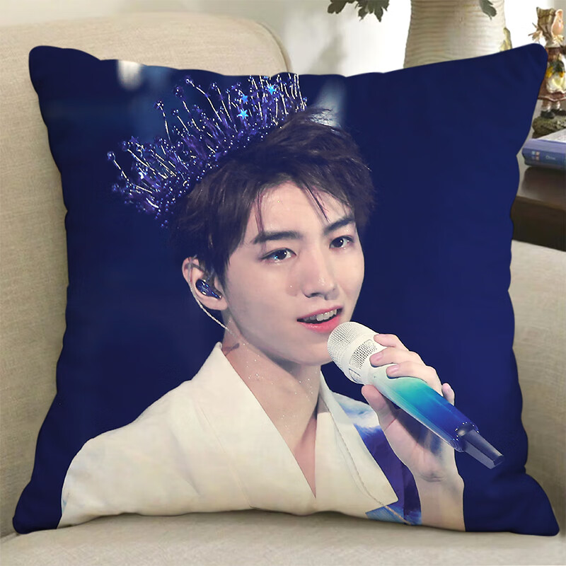 王俊凯抱枕双面可爱被子两用人形公仔应援周边生日礼物枕头 1 高雅