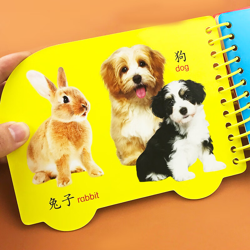 动物圈圈书 宝宝看图识物认知卡片彩绘版0-1-2-3岁宝宝撕不烂翻翻书学