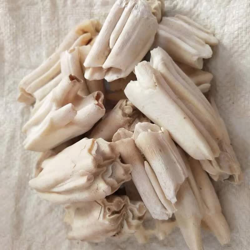 北京同仁堂原料龙齿中药材生龙齿 白龙齿 中药龙齿 碎龙齿粒 龙齿粉