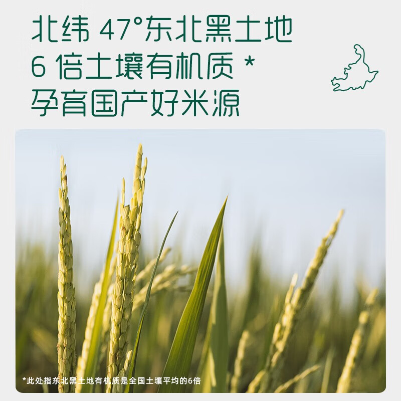 英氏(Engnice)婴幼儿大米粉盒装独立小包装宝宝营养辅食高铁米粉米糊多乐能系列 2阶菠菜加铁加钙 180g*1盒