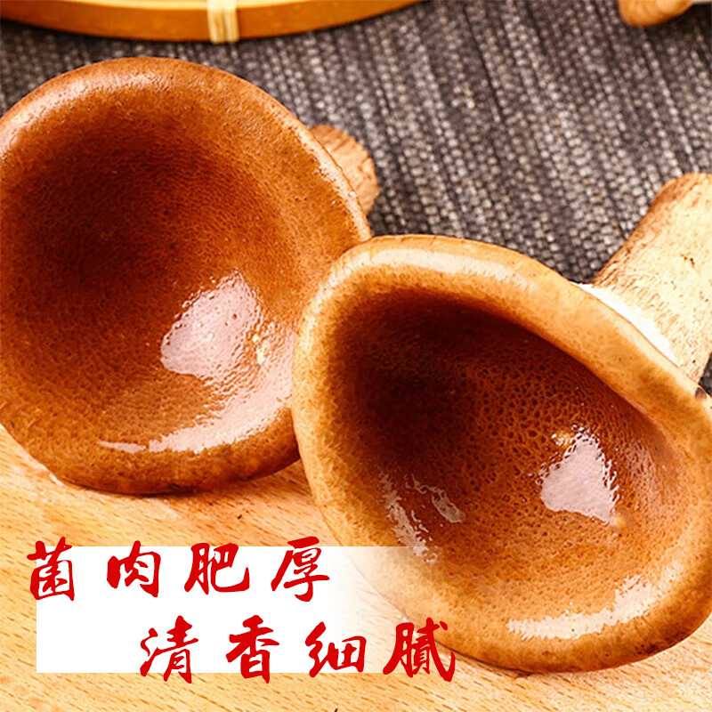 百年云松【2026新鲜猪肚菌】香格里拉鲜菌菇 猪肚菇 大伞菇 新鲜速达 新鲜猪肚菌 800克