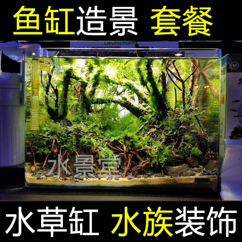 水草缸 造景 鱼缸 沉木 水草缸成品骨架峡谷套餐 40cm造景套餐