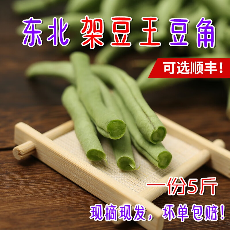 东北架豆王豆角 新鲜蔬菜豆角 现摘无筋芸豆鲜嫩长白豆角 5斤 1000g