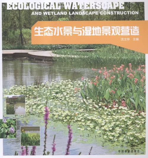 生态水景与湿地景观营造 农业/林业 沈士华主编 中国林业出版社 9787503883118