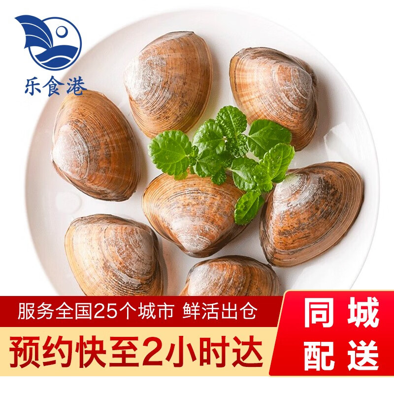【活鲜】乐食港 鲜活黄蚬子500g丹东海鲜贝类蛤蜊 烧烤食材