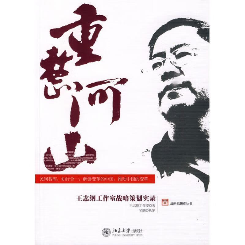 重整河山-王志纲工作室战略策划实录 王志纲工作室著【正版书】