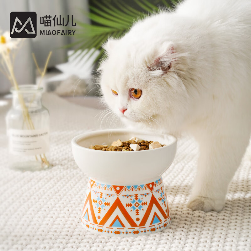 全评价曝光喵仙儿异域猫碗A猫碗狗碗真实的经验分享，入手一周感受分享