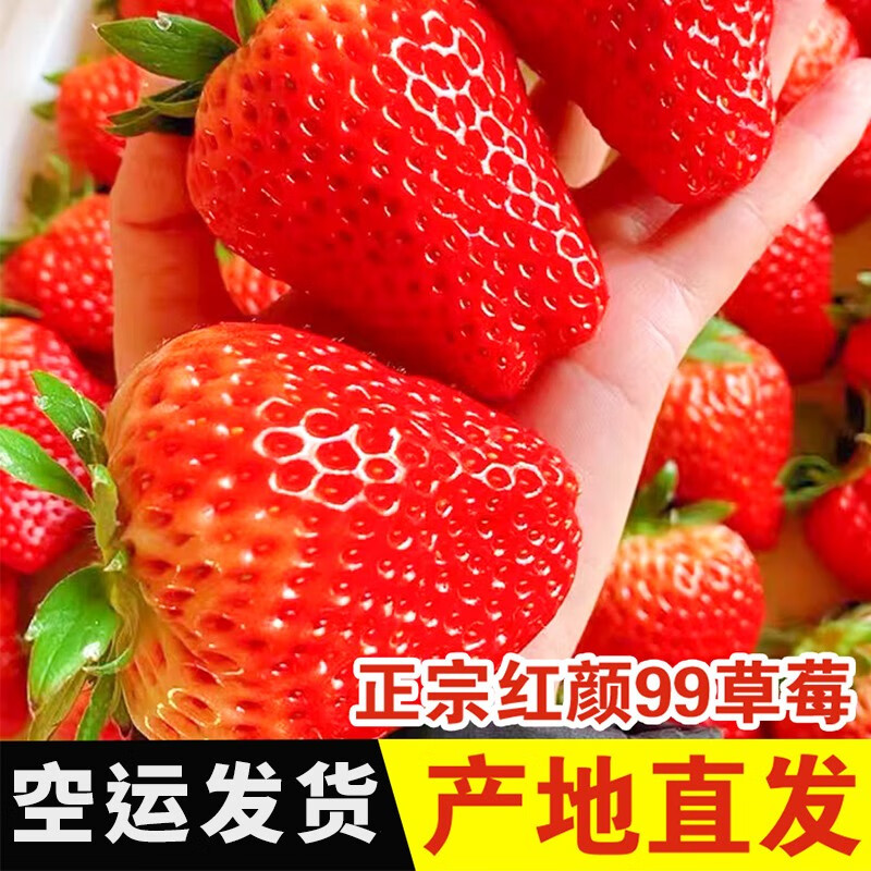 草莓价格查询历史|草莓价格历史