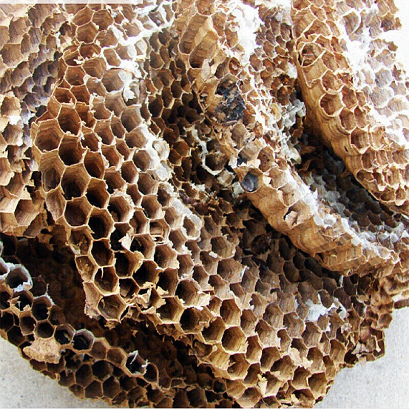 野生天然露蜂房马蜂窝巢煮水牙疼中药材店铺500g打粉 露蜂房【普选100
