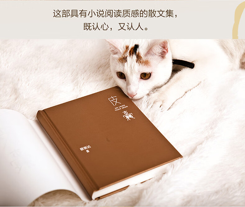 正版 皮囊书蔡崇达小说散文集精装经典中国现当代文学韩寒监制自在