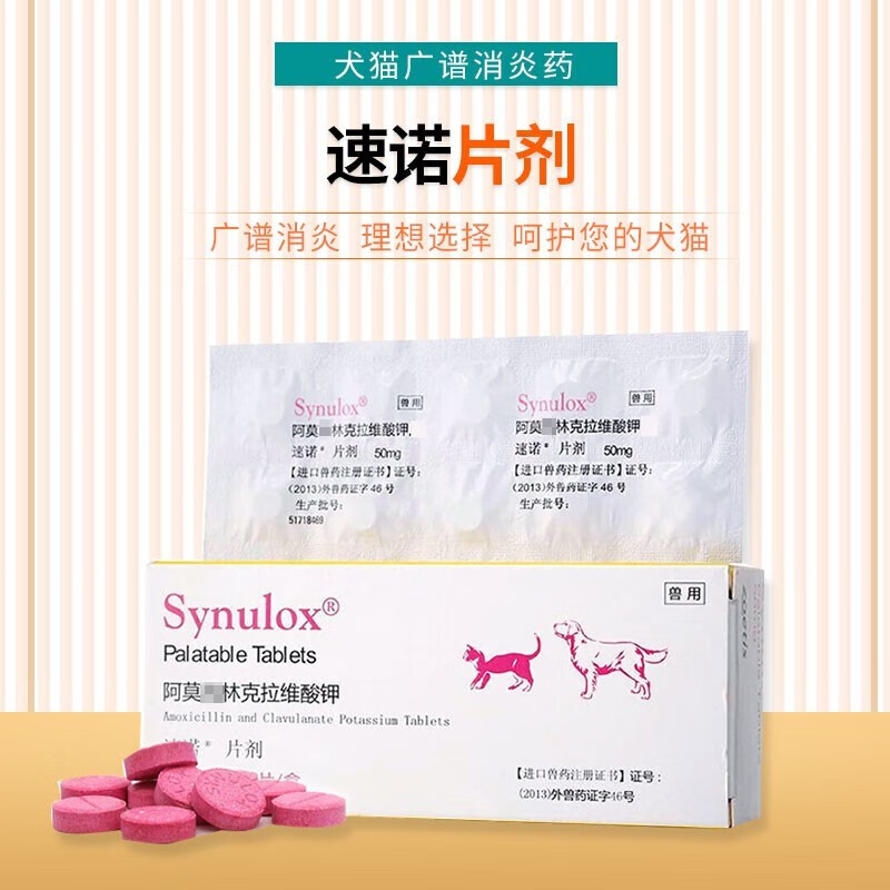 速诺片猫鼻支猫咪治疗药速诺犬猫通用宠物阿莫西林片消炎 50mg(单板10