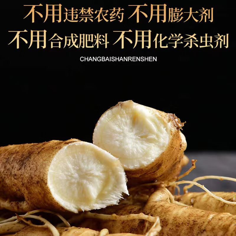 灵壹禾吉林特大新鲜现挖人参带土新鲜人参煲汤山参一斤发顺丰 精选新鲜带泥巴人参 225g*1盒