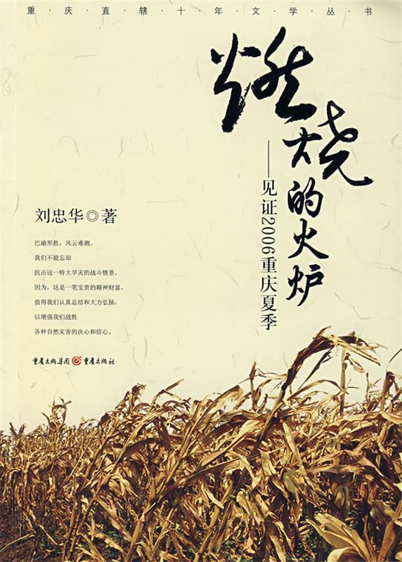 燃烧的火炉—见证2006重庆夏季