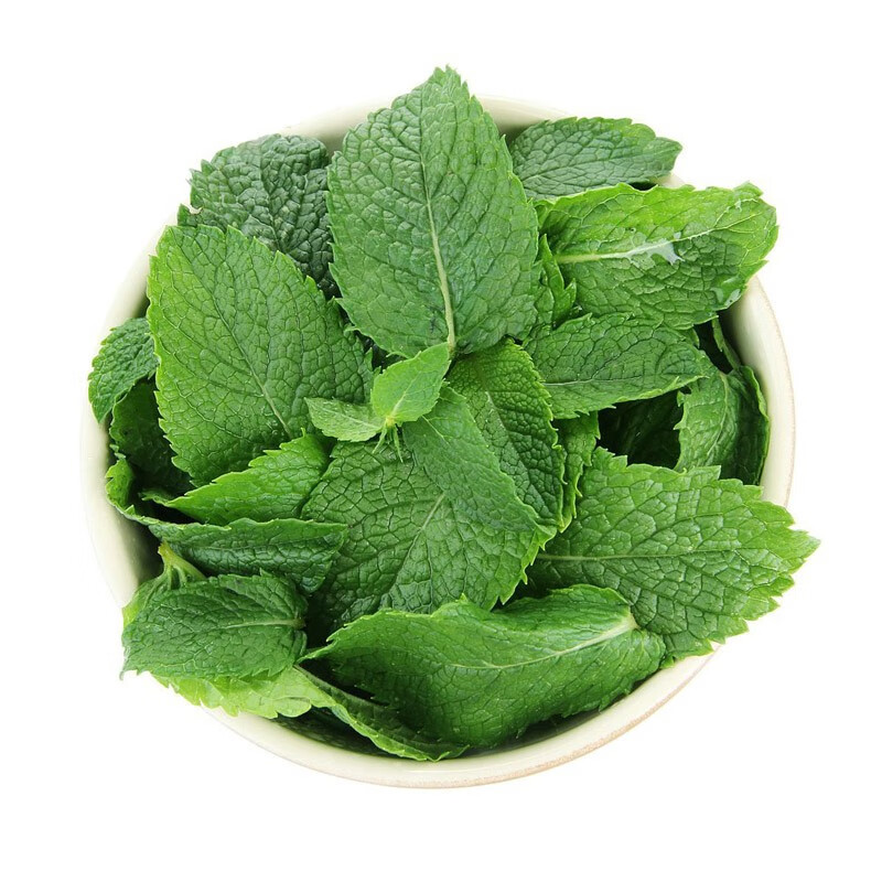 马保果薄荷叶新鲜食用泡水烘焙调酒莫吉托鸡尾酒专用留兰香薄荷叶子