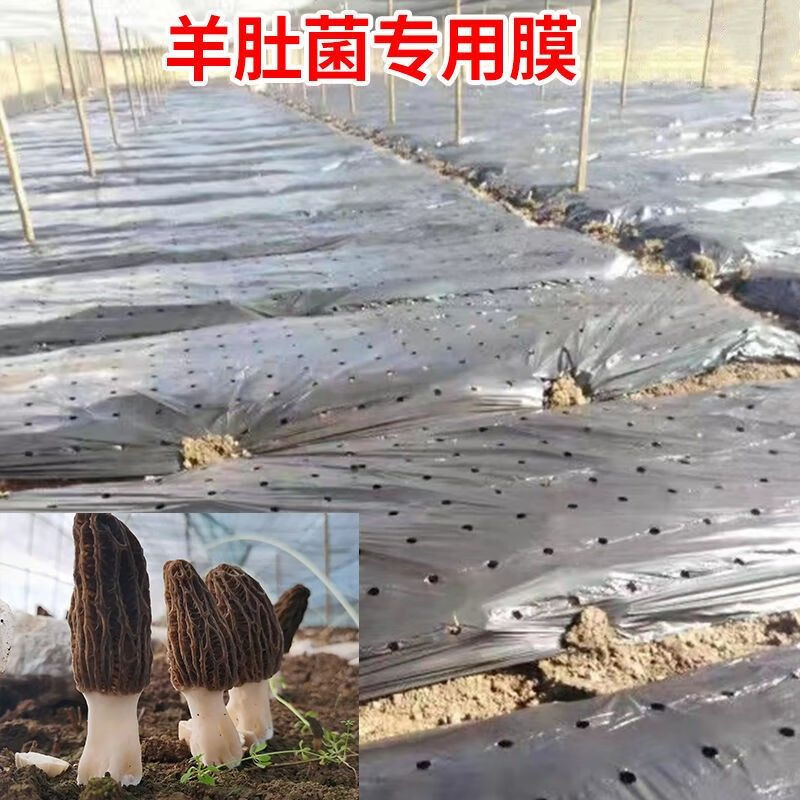 享动羊肚菌专用打孔地膜保温保湿除草控霜黑色地膜增量pe农用薄膜 1.