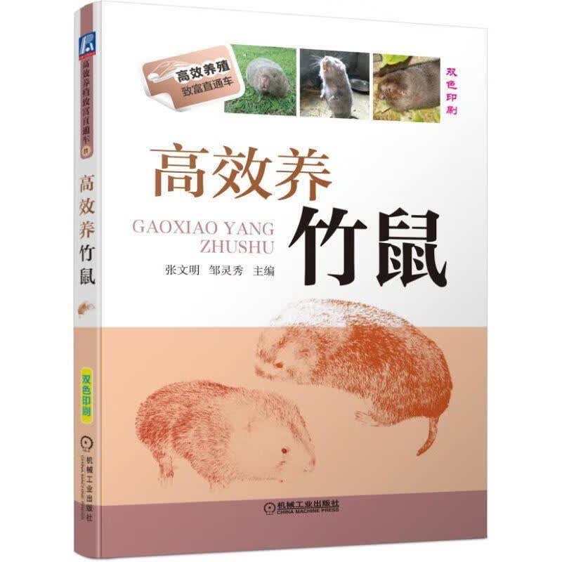 高效养竹鼠