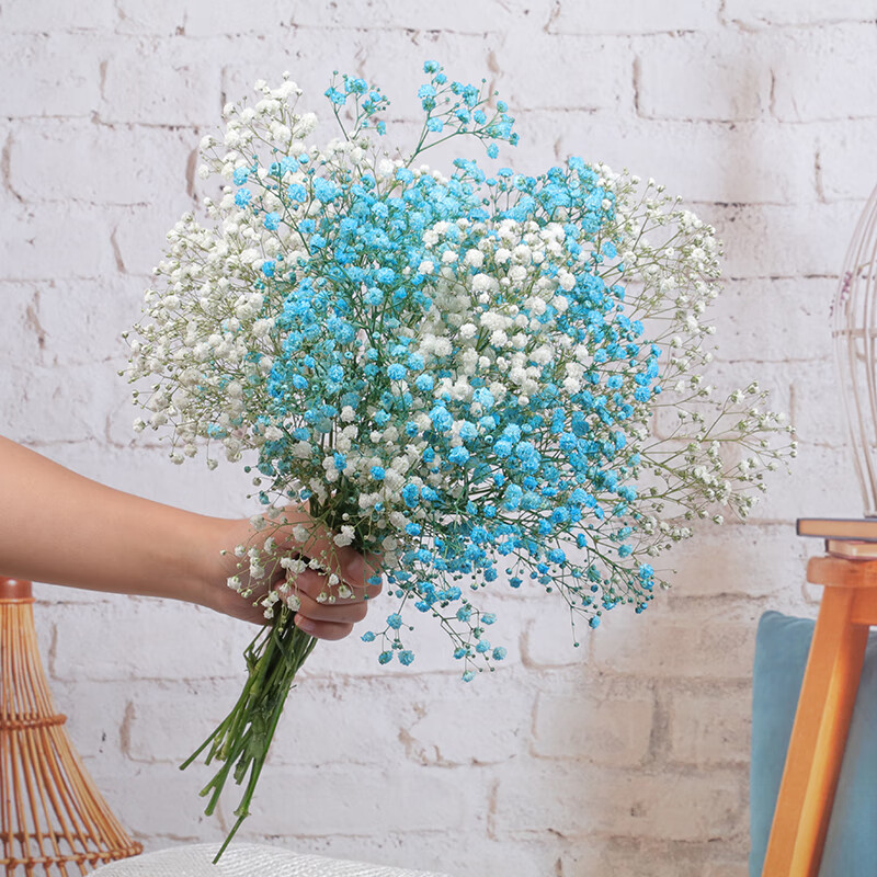 查看干花历史价格的App|干花价格走势图