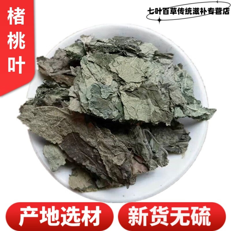 北京同仁堂 楮桃叶500g中草药材生野褚桃叶楮树叶构叶谷树叶中草药储
