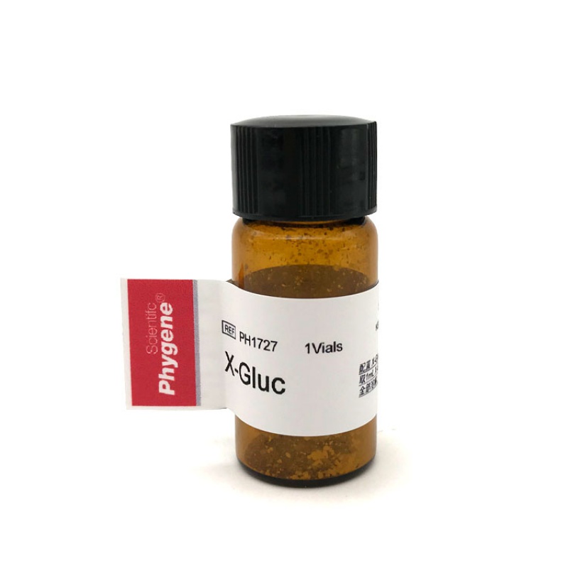 gus染色液 即用型 gus staining solution 100ml ph1727 50ml