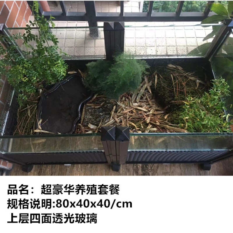 乌龟缸养殖环境 黄缘龟苗生态饲养箱 安缘造景垫材 80厘米超豪华养殖套餐