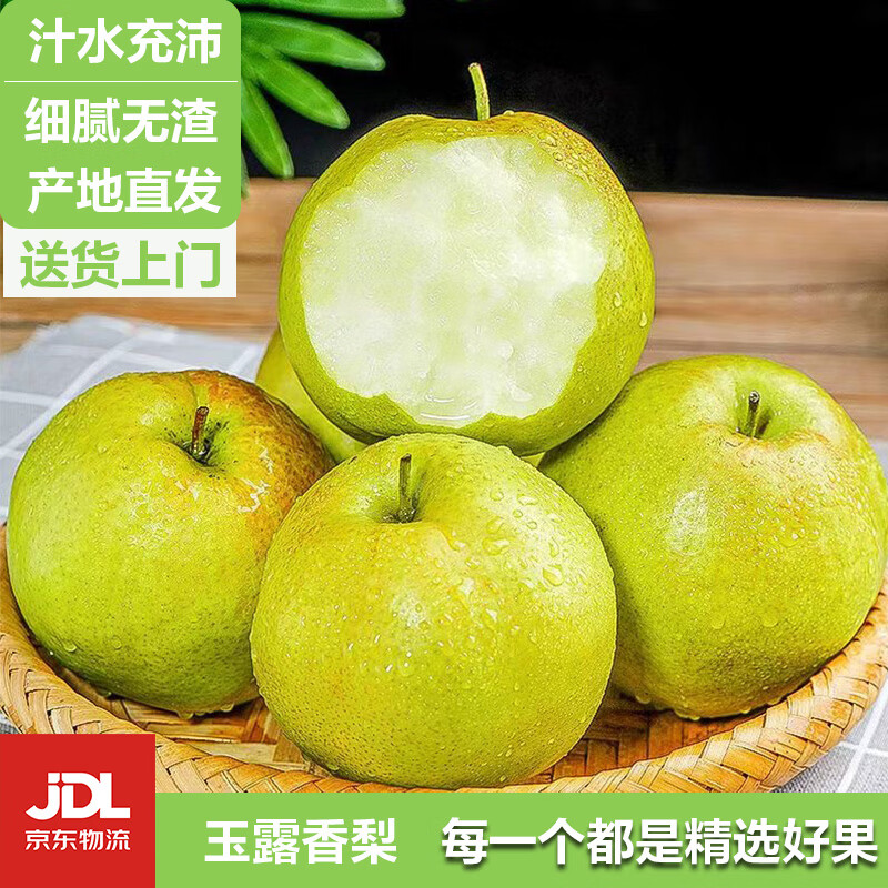 HUABEIQIANG山西玉露香梨新鲜水果产地直发彩箱水果礼盒JD送货上门 5斤大果彩箱装(净果4.5斤)