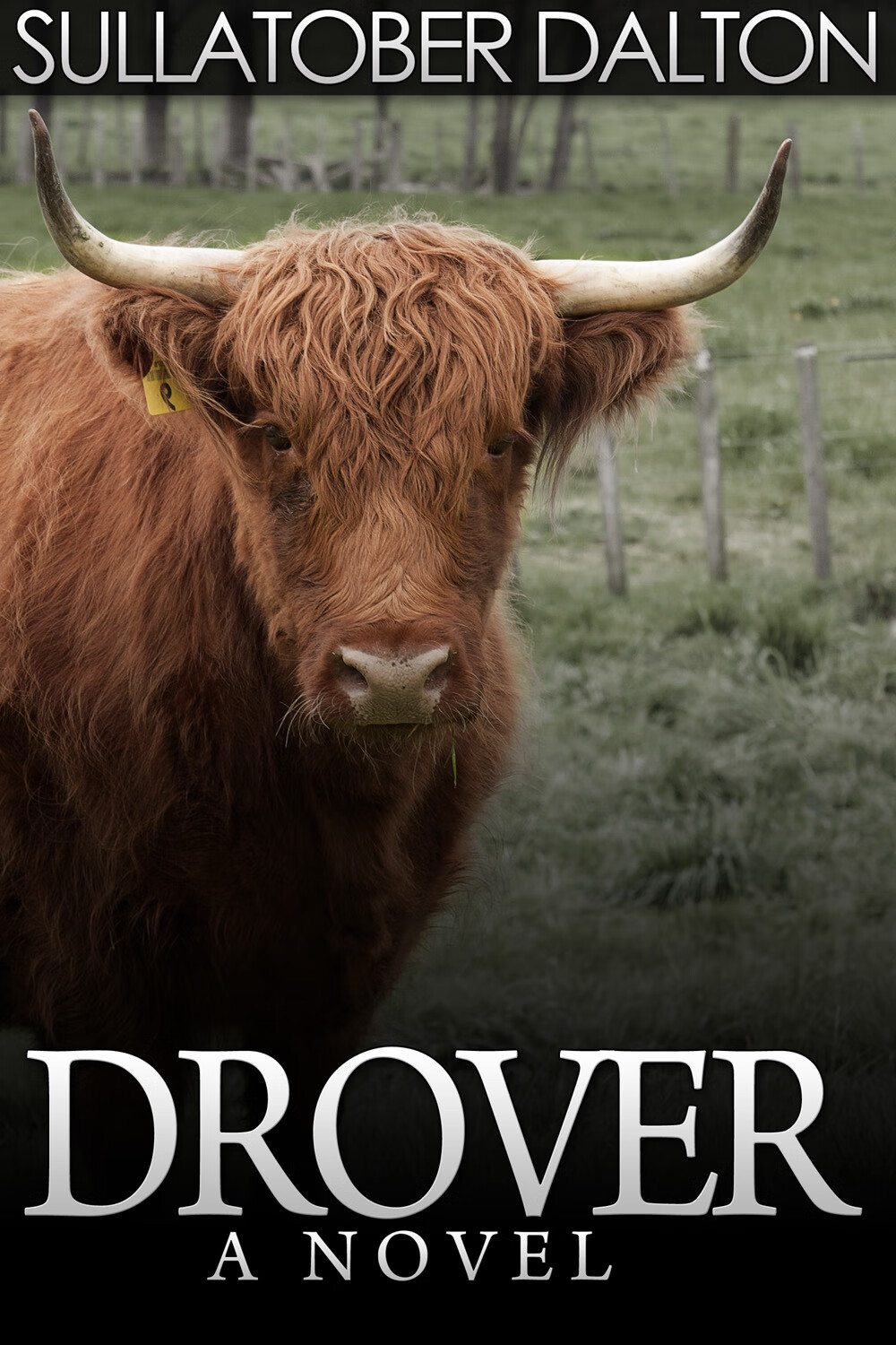 drover : fergus findlay saves fiona mcrae
