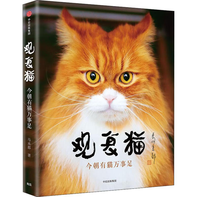 观复猫 今朝有猫万事足