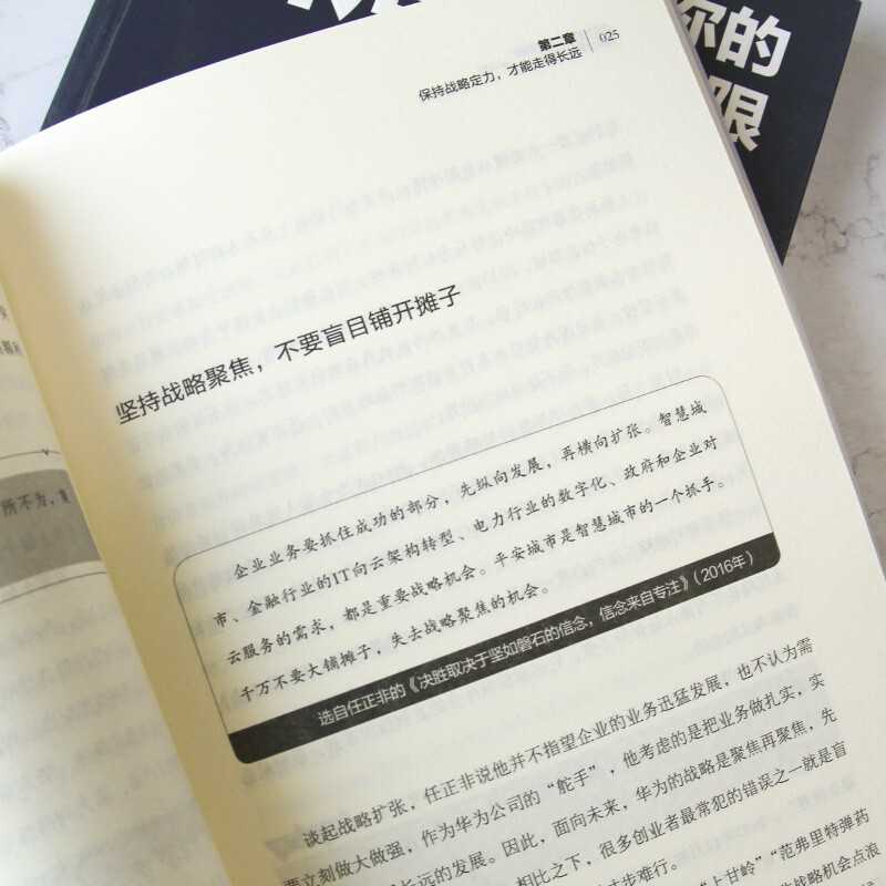 格局+眼界 马云任正非给创业者的人生智慧 职场励志成功哲学格局越大 成就越大 如何撑大格局
