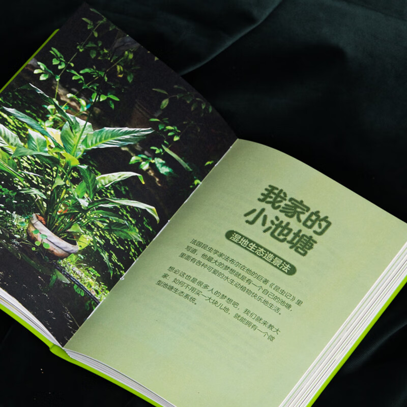 (包邮)中国国家地理海错图笔记系列、掌中花园、我的昆虫学入门书:无穷小亮讲昆虫 博物君狐主任张辰亮科普读物图书 新版(赠Q版小亮便利贴)掌中花园