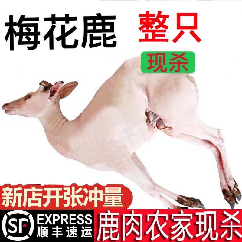 首尚新鲜梅花鹿肉现杀梅花鹿肉整只鹿腱子腿肉顺丰冷链鹿肉生鲜 新鲜现杀鹿腿肉5斤怎么样,好用不?