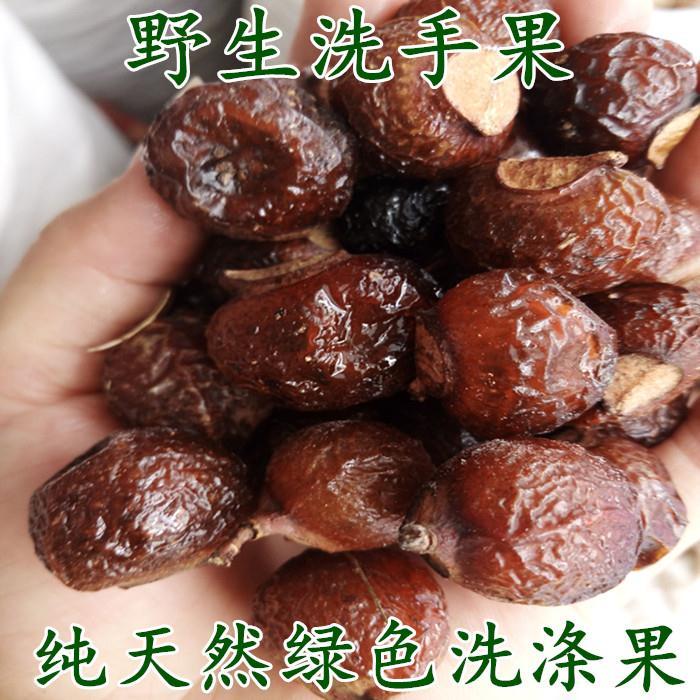 野生无患子 500g 圆皂角油皂角油患子肥皂果洗衣洗碗洗头做酵素 500克