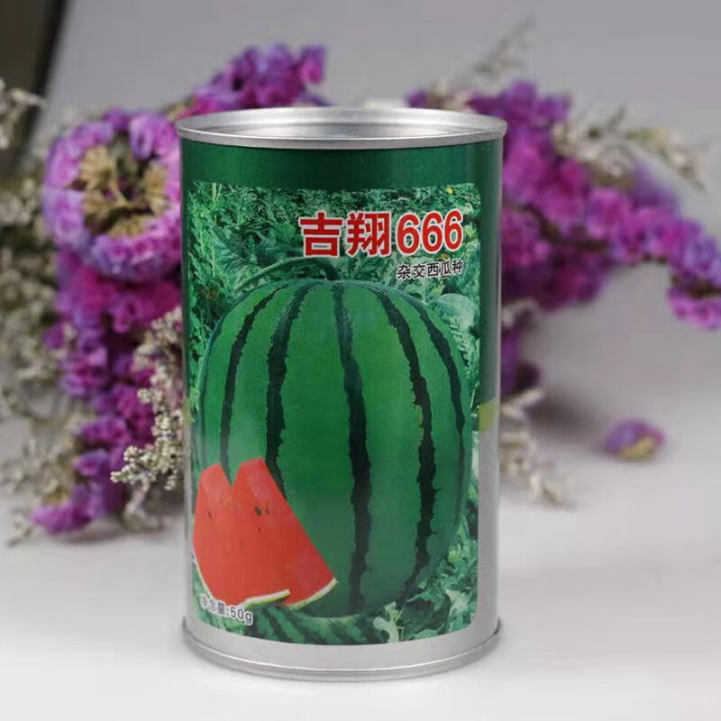 庆红西瓜种子吉翔666大果高产皮薄大红瓤原装千粒新种子 原装50克