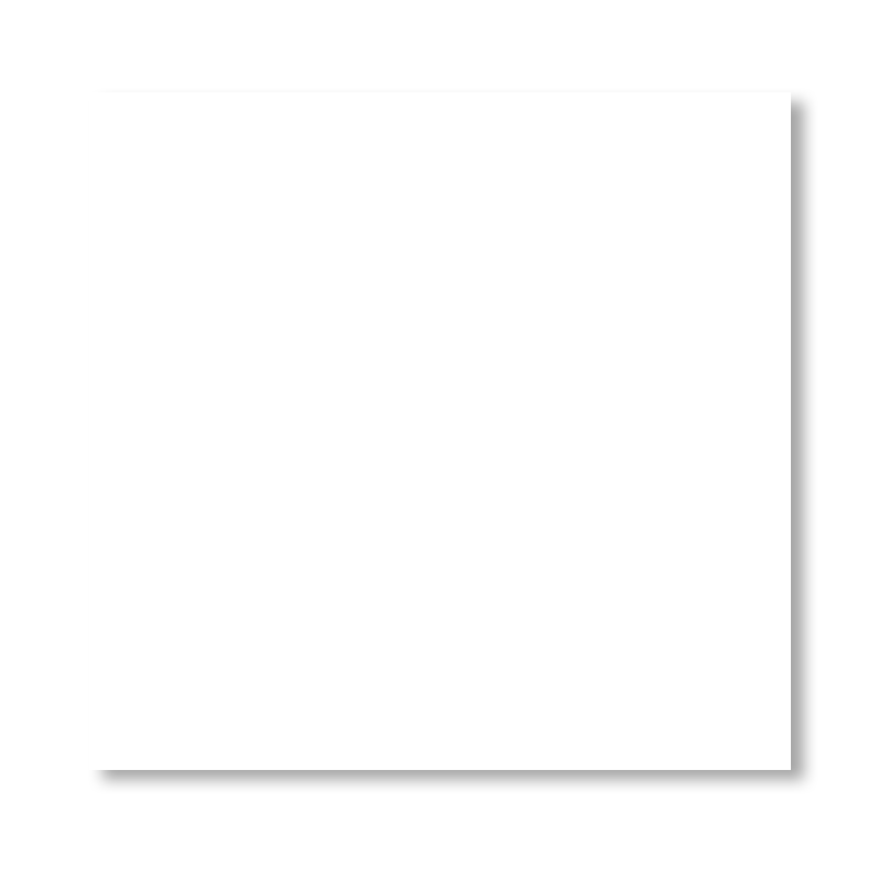 丽标lb-标签纸,白色(张) 办公专用标签纸,内容可定制 220mm*299mm