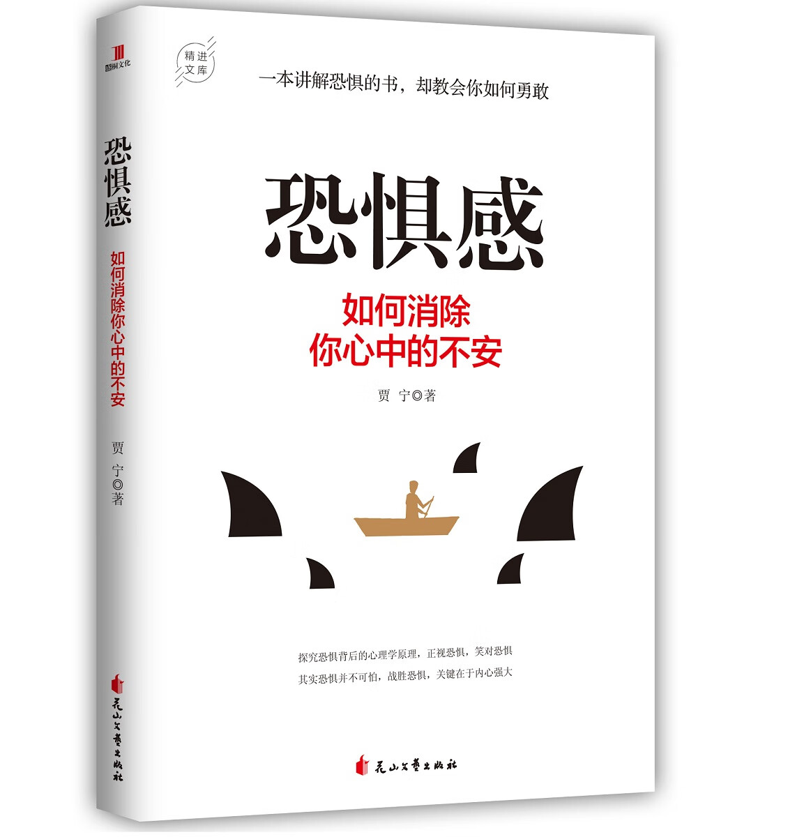 恐惧感 如何消除你心中的不安 心理学 书籍