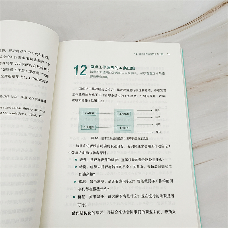 官网正版 生涯咨询99个关键点与技巧 李枢 职业规划 实操宝典 成长工具书 人格类型 认知信息加工 理性 感性