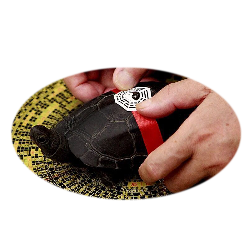 京东异宠活体历史价格查询|异宠活体价格历史