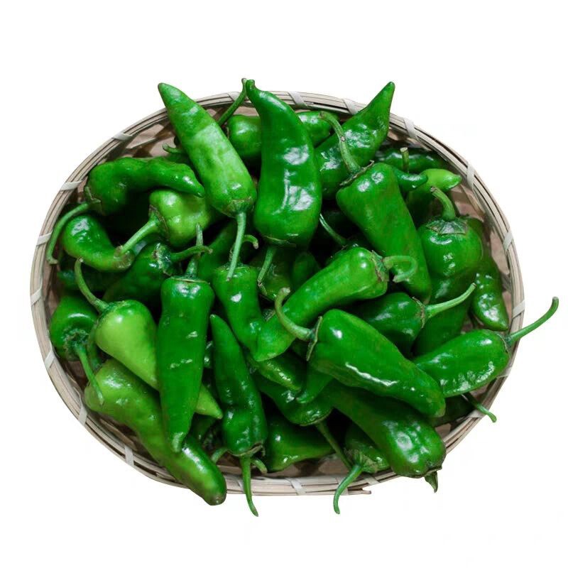 zxc江西特产余干枫树辣椒 丰收辣椒 现摘蔬菜 3斤