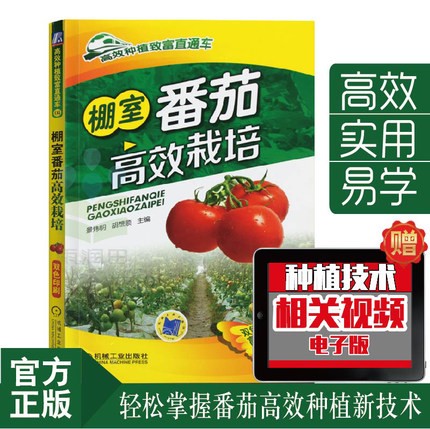 棚室番茄高效栽培 高效种植番茄书籍西红柿