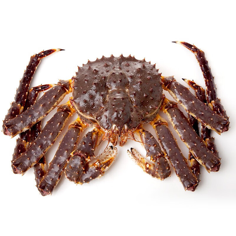 鲟好物 俄罗斯帝王蟹冰鲜冷冻帝皇蟹大螃蟹生鲜春节年货送礼佳品 净重4-4.5斤/只【推荐款】