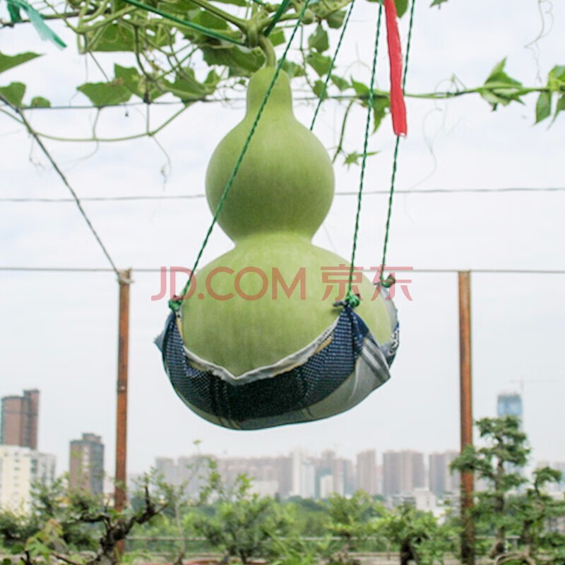 查花草林木类最低价格用什么软件|花草林木类价格走势