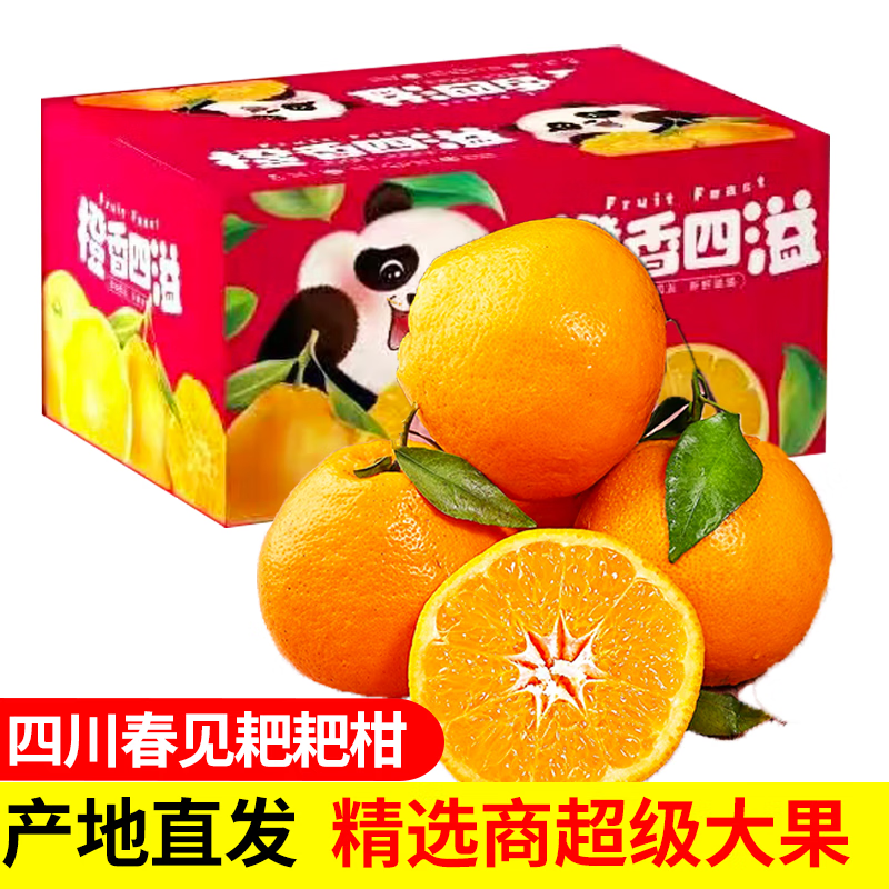 金百粟四川春见耙耙柑 当季新鲜水果粑粑柑生鲜丑桔橘子现摘整箱 净重4.5斤【80mm+】果农精选送礼