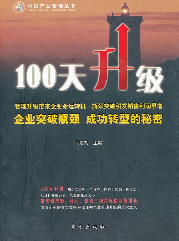 100天升级 司宏魁【书】