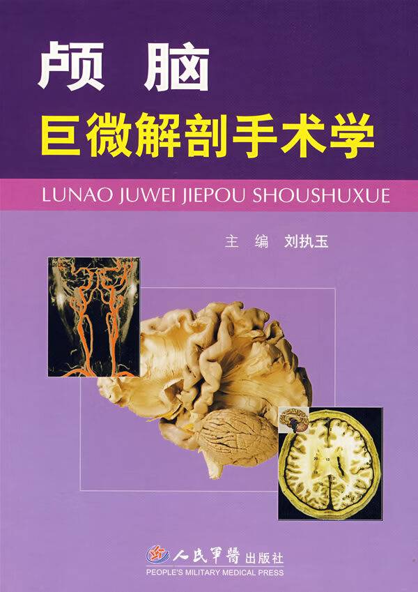 颅脑巨微解剖手术学
