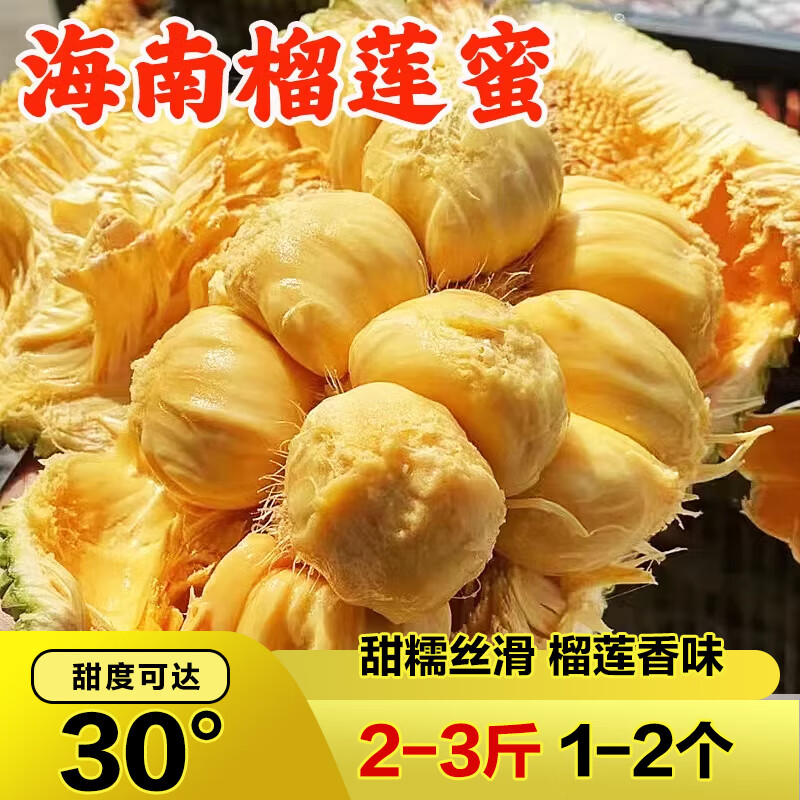 禧友鲜 海南榴莲蜜现摘水果尖蜜拉 丝滑香甜软糯巴掌顺丰可选应季特产 2-3斤(发货1-2个果 8-16个果肉)