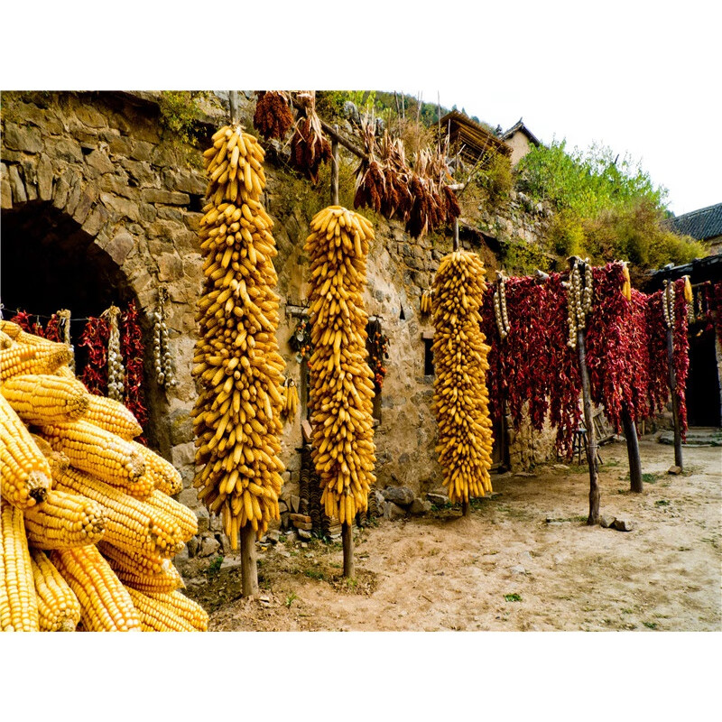 直播间农村破房屋直播背景布3d立体高清雪景快手抖音网红主播背景 乳