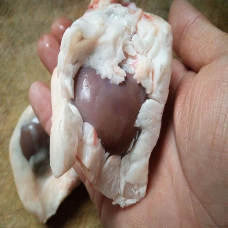 伯贤羊内腰羊腰新鲜带油羊腰子羊肾羊肉烧烤羊腰子原油腰子500g