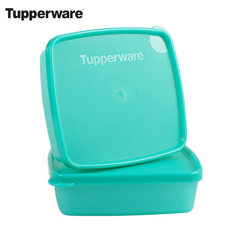 特百惠（Tupperware） 保鲜盒果菜冷藏小方盒冰箱密封保鲜储藏盒零食盒 250ml颜色随机 两个