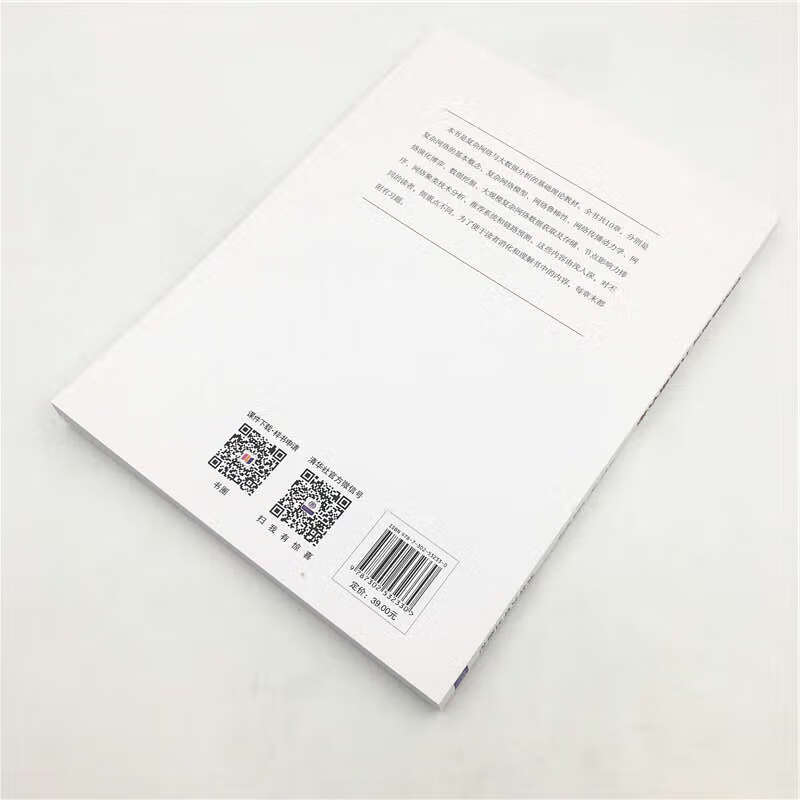 复杂网络与大数据分析/大数据系列丛书详情图